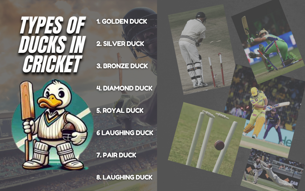 Types of ducks in cricket