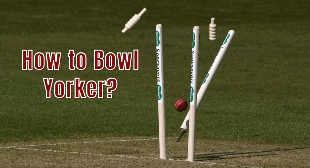 How to bowl a yorker