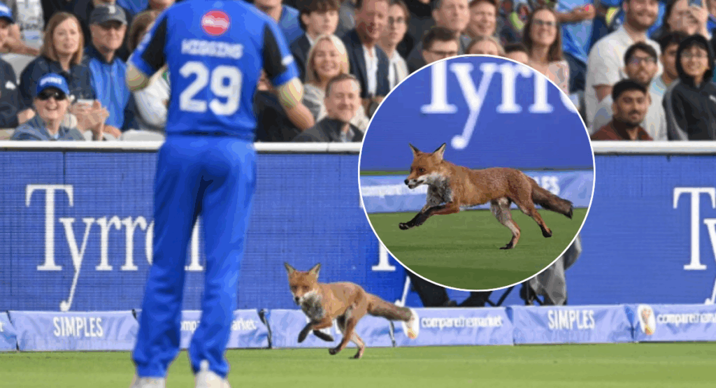 Fox on pitch during The Hundred at Lord’s
